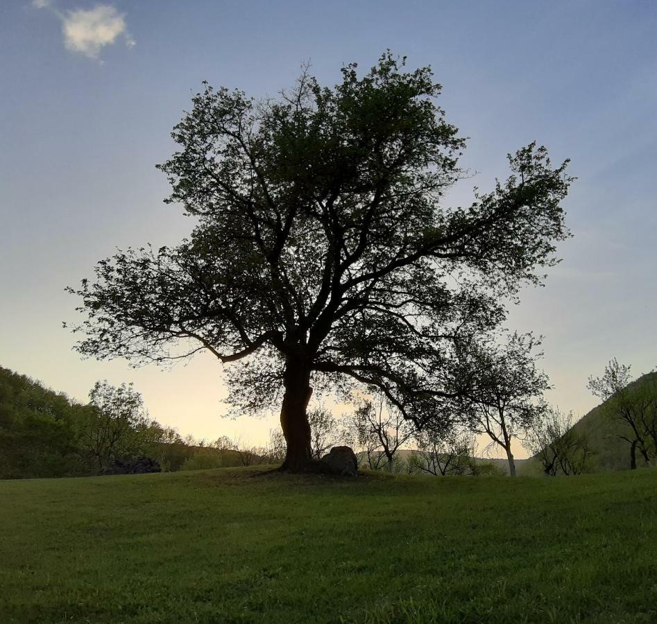 Private Place, Boca Bihać 외부 사진